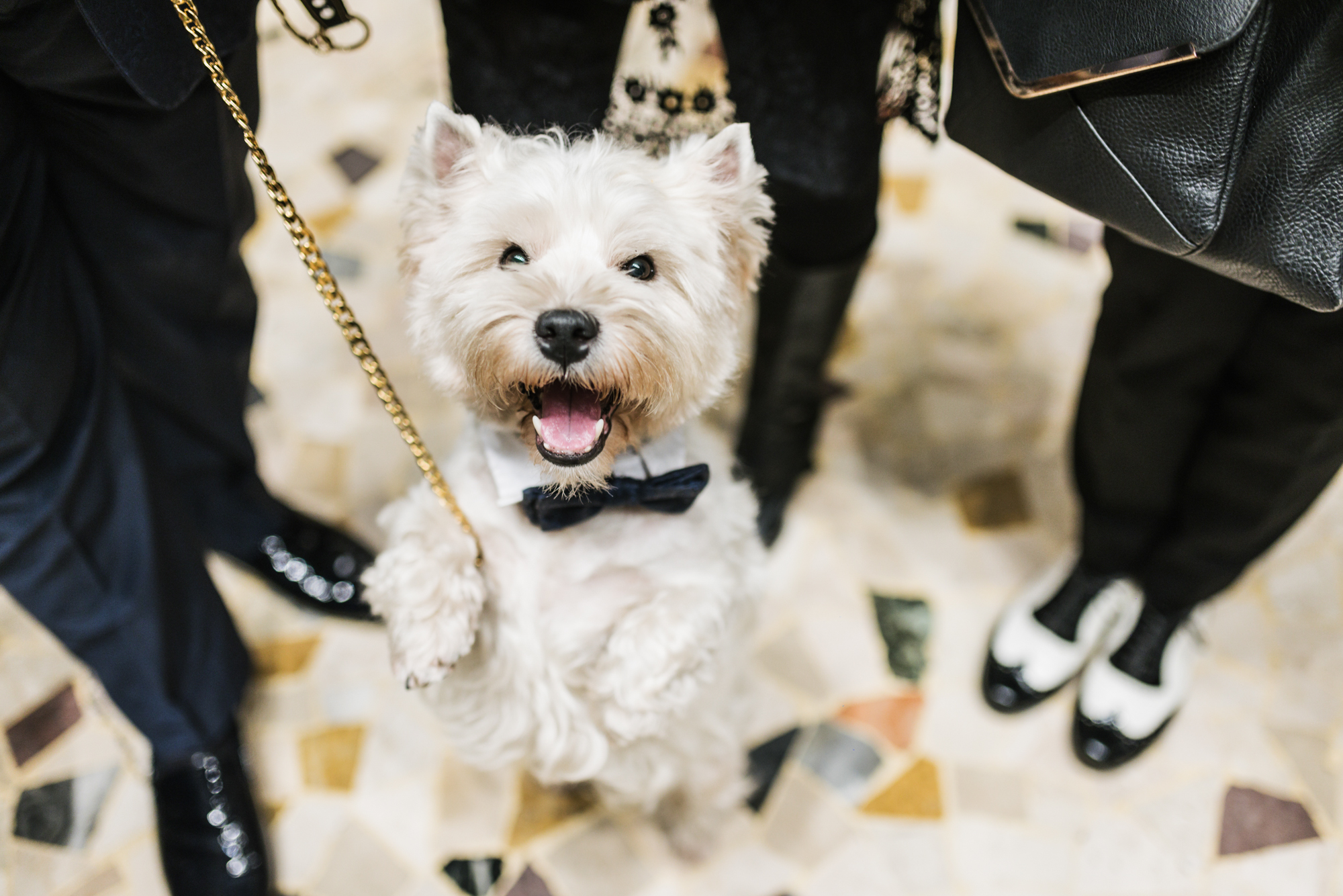 Aperitivo (Galleria Subalpina)